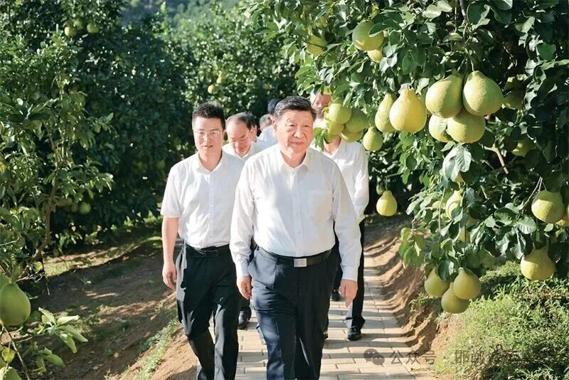 习近平：学习好贯彻好党的二十届四中全会精神